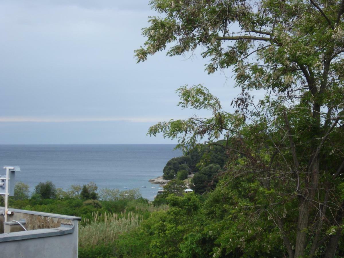 Suzy Apartman Pula