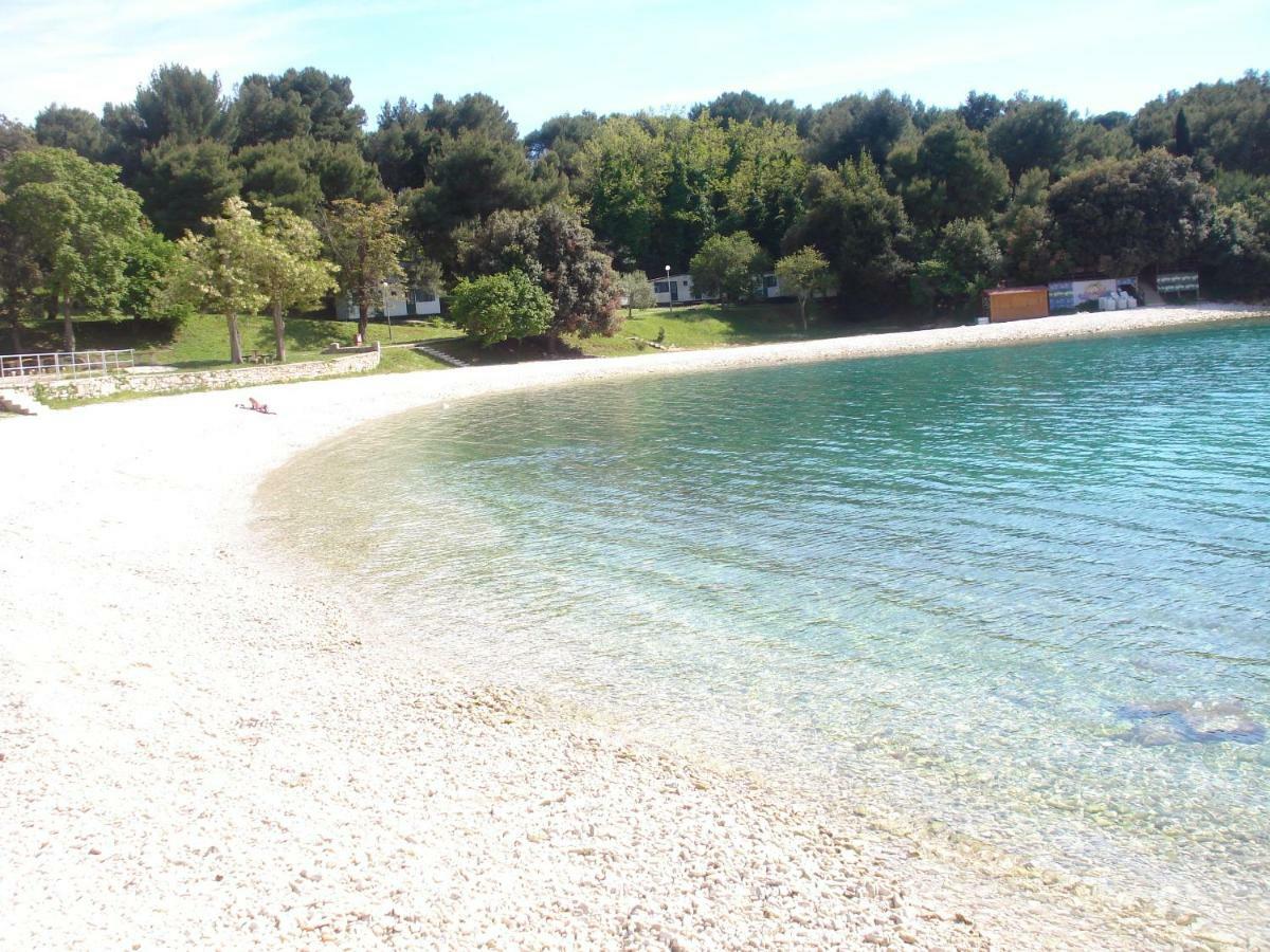 Apartman Suzy Pula